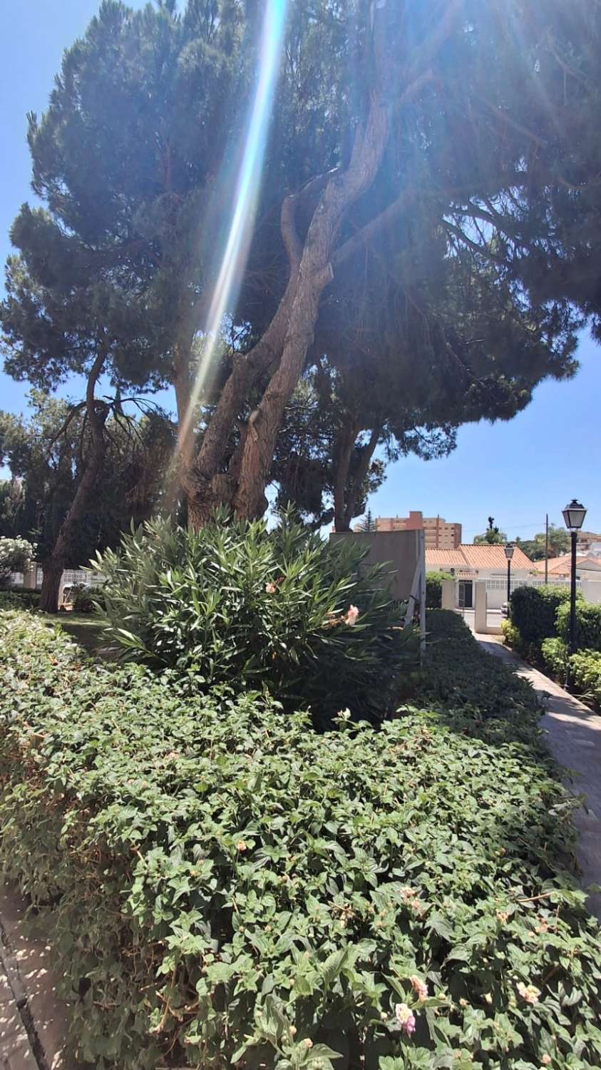 Petit Appartement saisonnière à Arroyo de la Miel (Benalmádena)