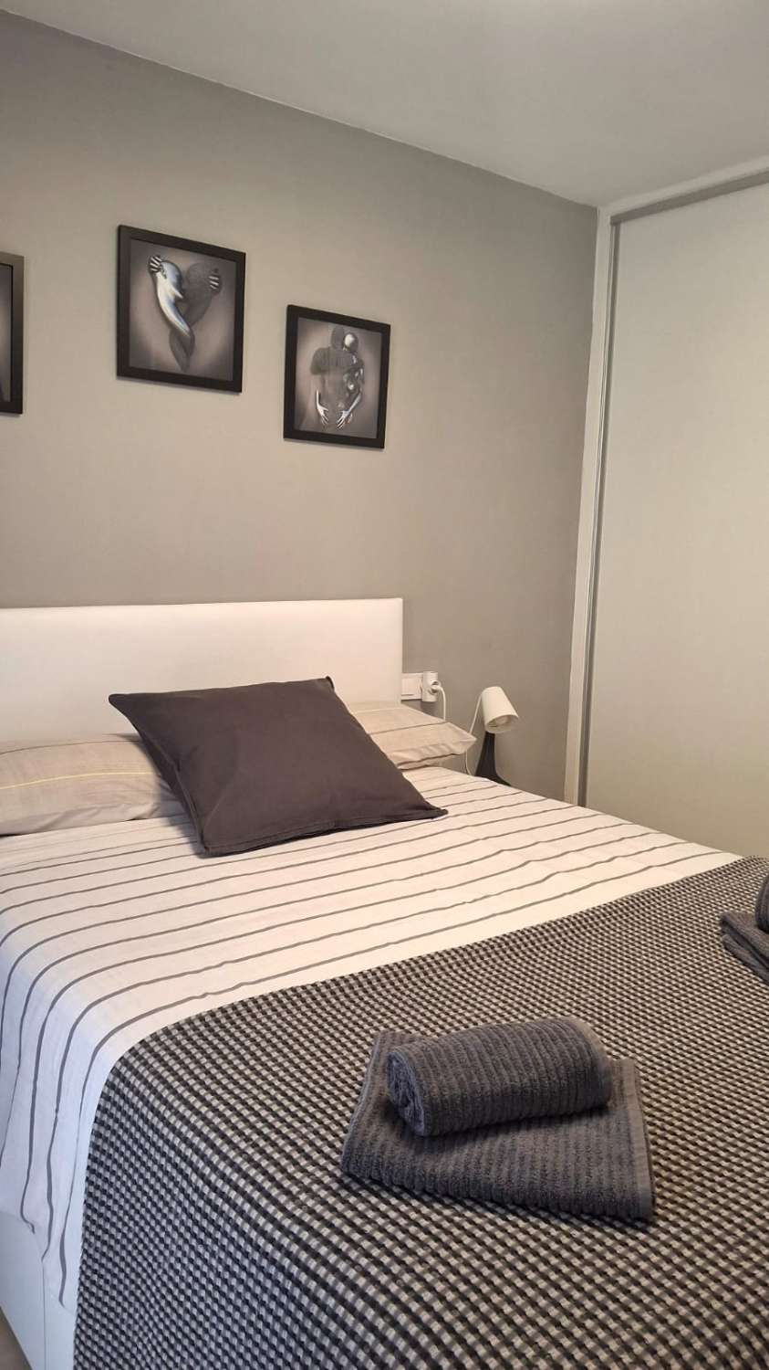 Petit Appartement saisonnière à Arroyo de la Miel (Benalmádena)