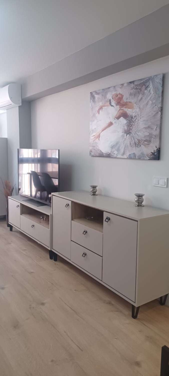 Petit Appartement saisonnière à Arroyo de la Miel (Benalmádena)