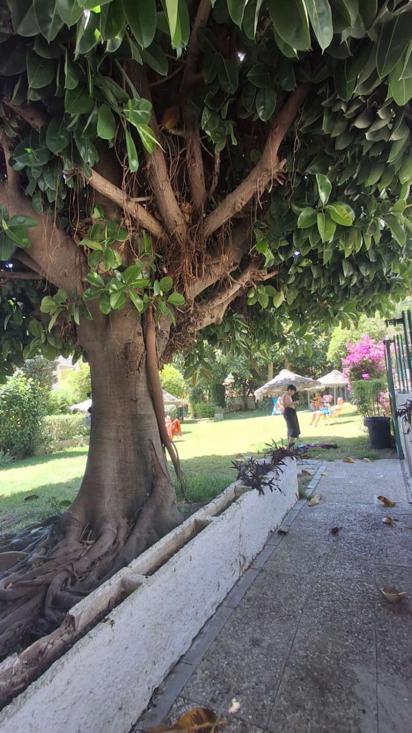 Petit Appartement saisonnière à Arroyo de la Miel (Benalmádena)