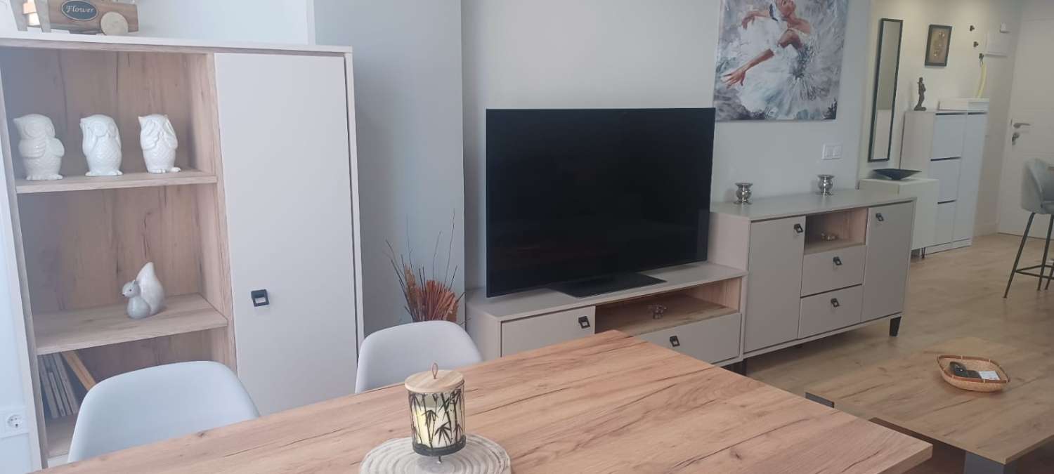 Petit Appartement saisonnière à Arroyo de la Miel (Benalmádena)