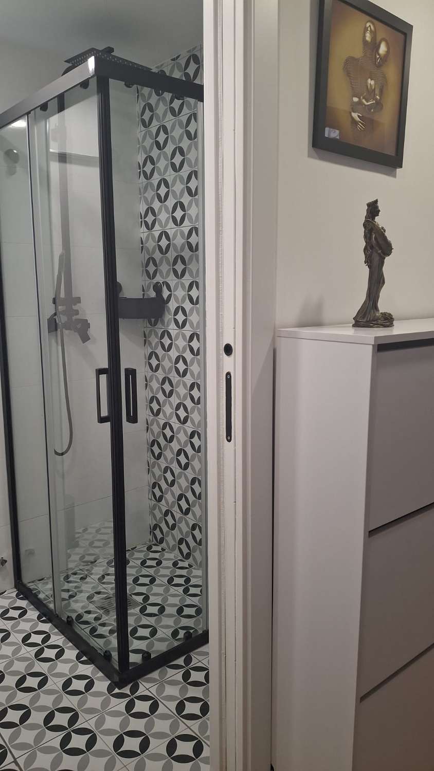 Petit Appartement saisonnière à Arroyo de la Miel (Benalmádena)