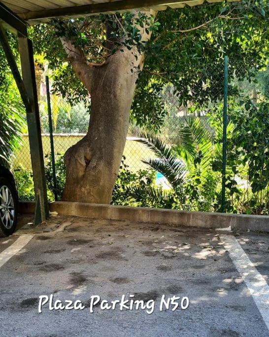 Petit Appartement saisonnière à Torrequebrada (Benalmádena)