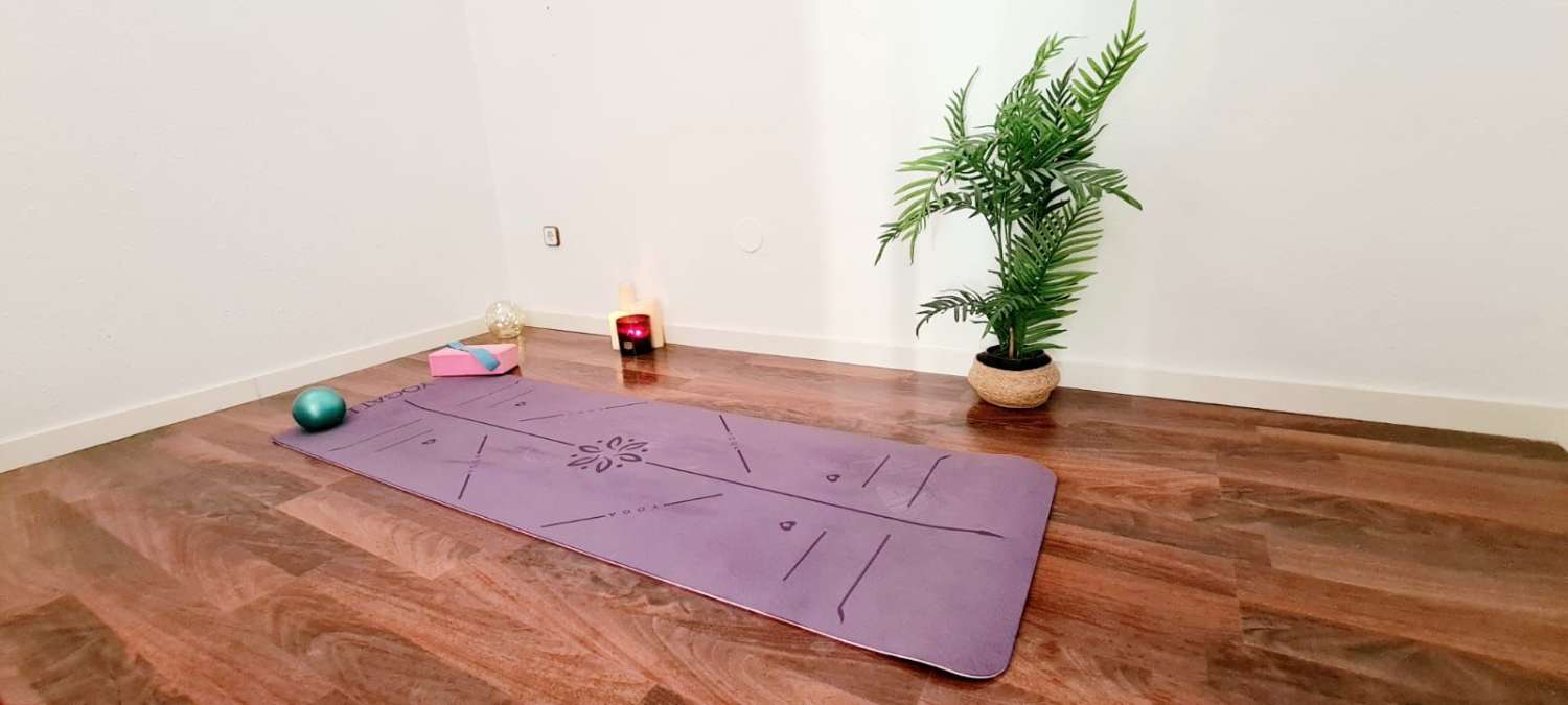 Petit Appartement saisonnière à Torrequebrada (Benalmádena)