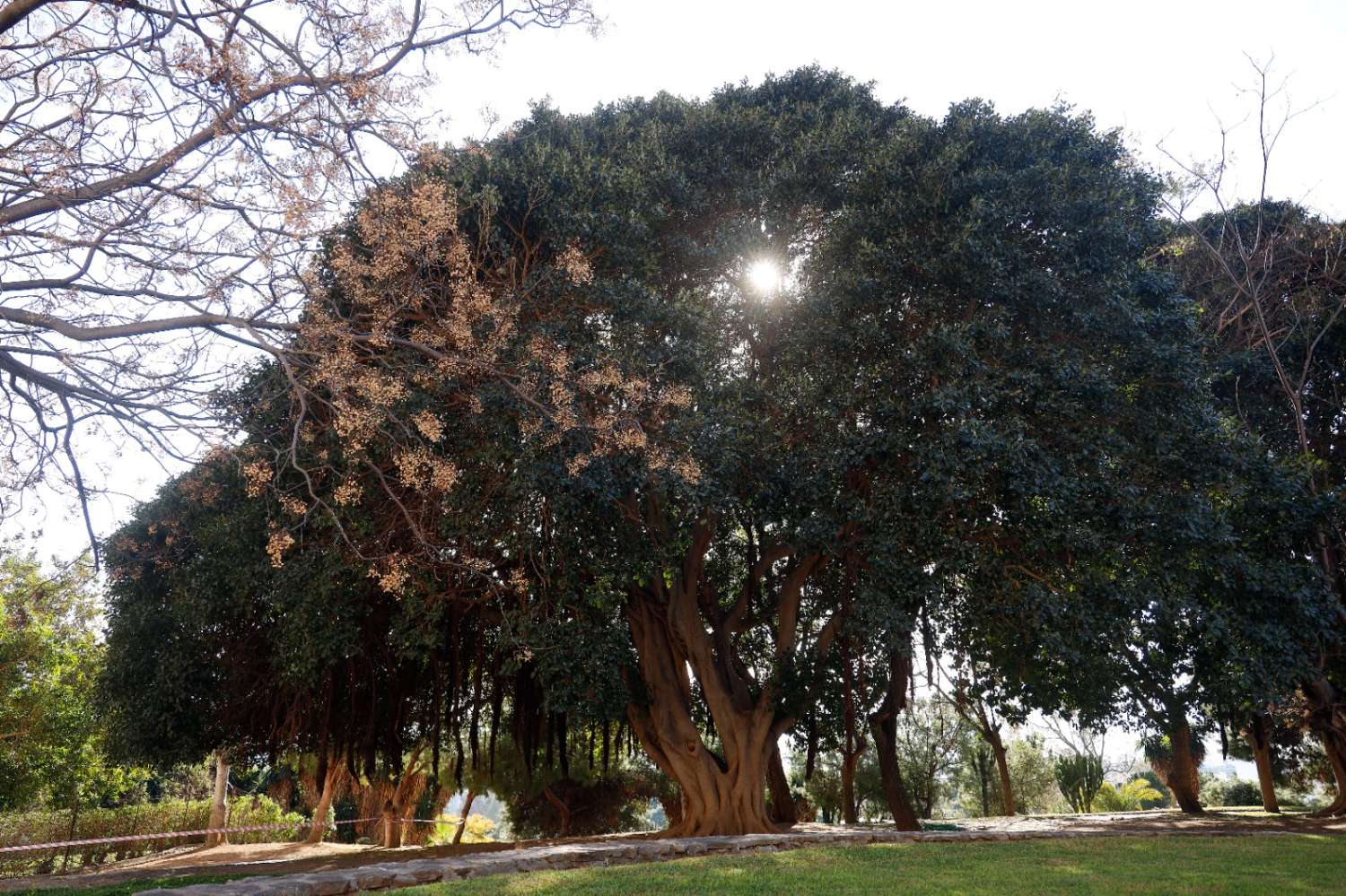 Studio saisonnière à Arroyo de la Miel (Benalmádena)