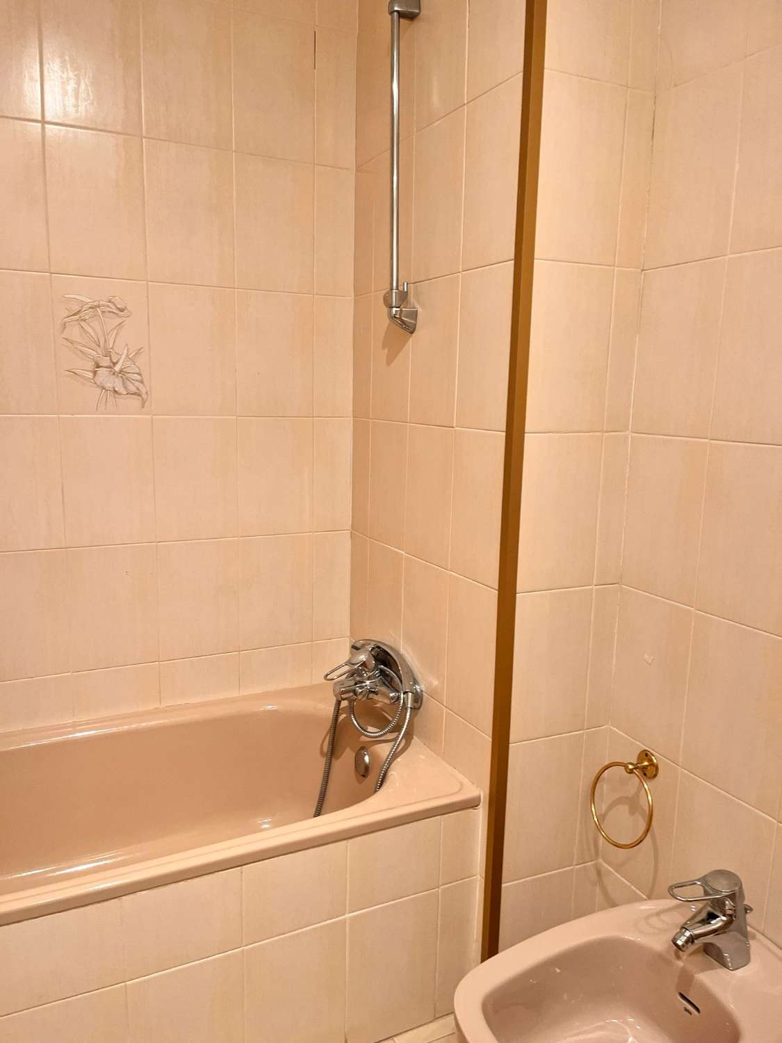 Petit Appartement saisonnière à Fuengirola