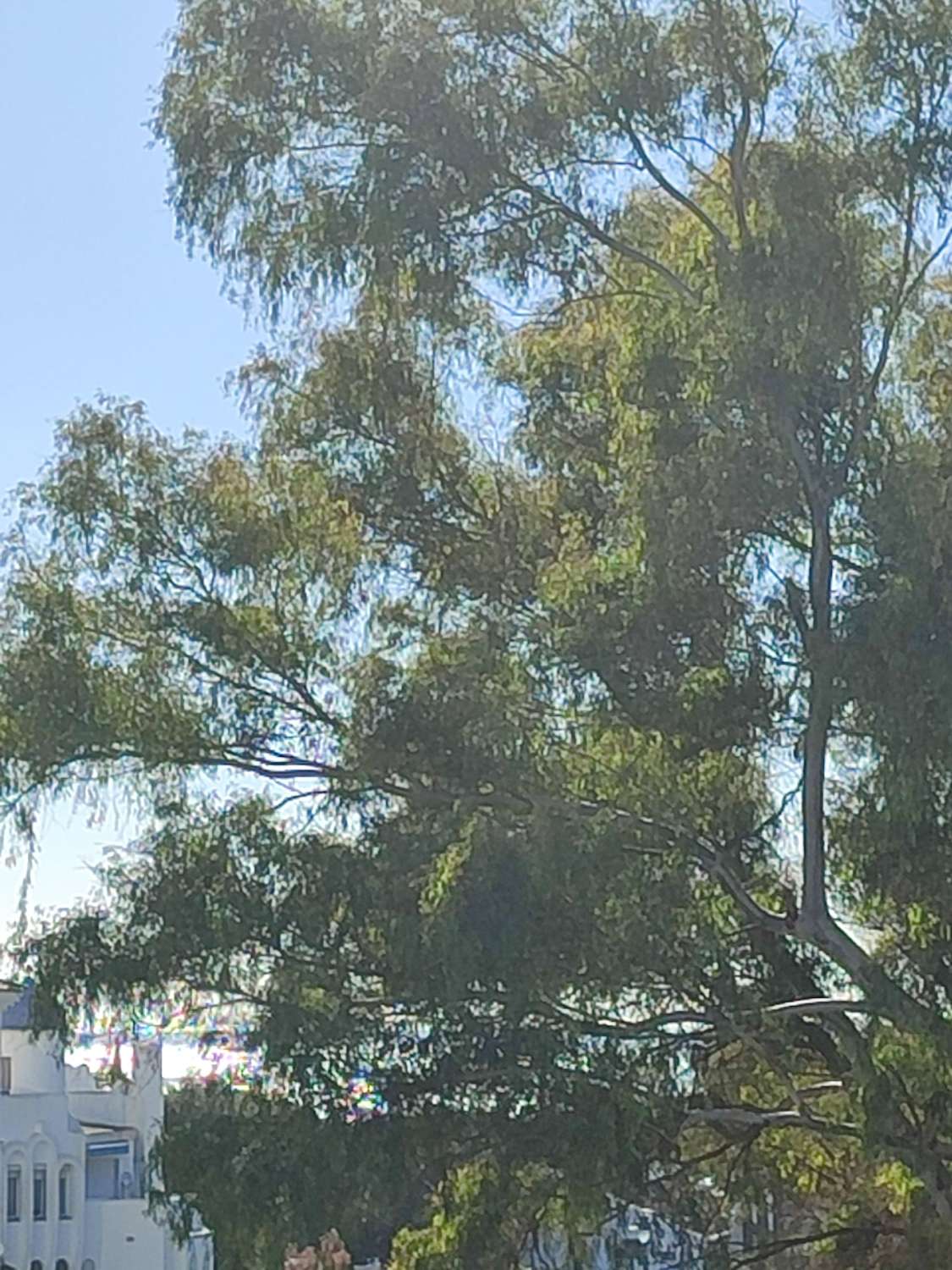 WUNDERSCHÖNES MÖBLIERTES DUPLEX ZUM VERKAUF MIT TOURISTENLIZENZ IN CALAHONDA (MIJAS)