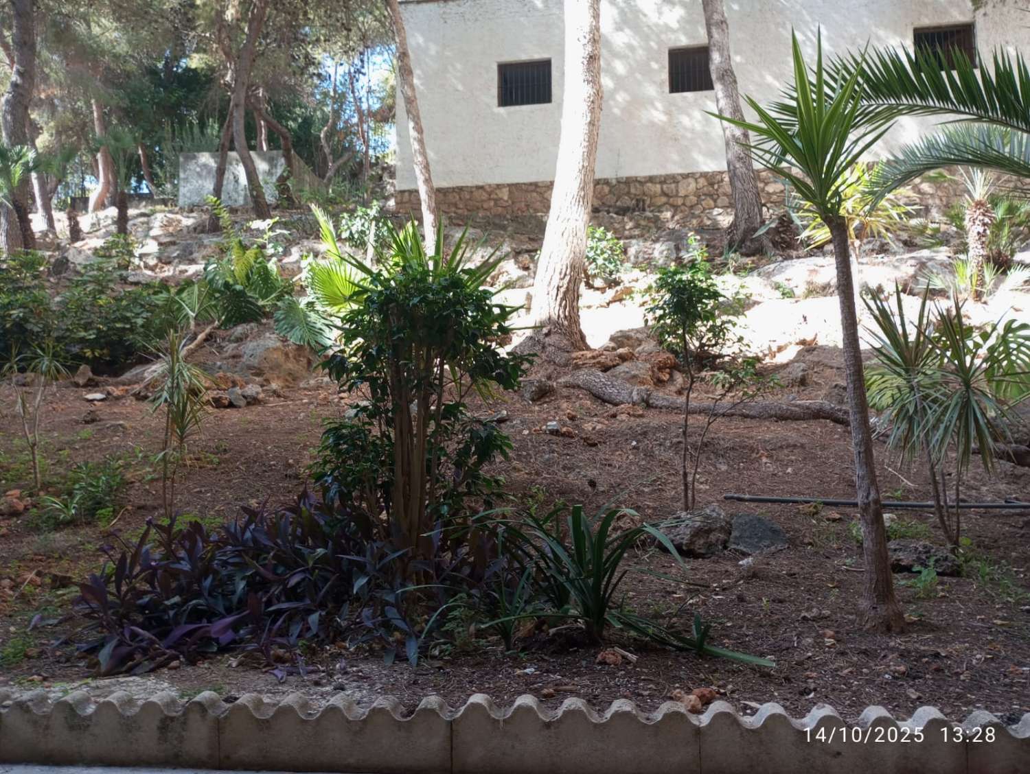 APARTMENT WITH FRONTAL SEA VIEWS FOR SALE IN MONTEMAR AREA (TORREMOLINOS)