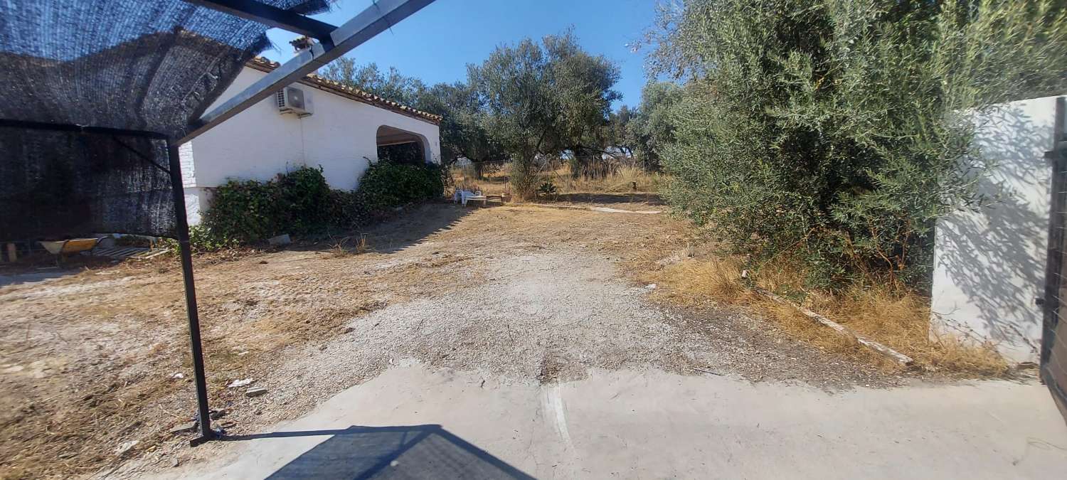 VILLA TILL SALU FÖR RENOVERING AV EL PINAR-OMRÅDET (TORREMOLINOS)