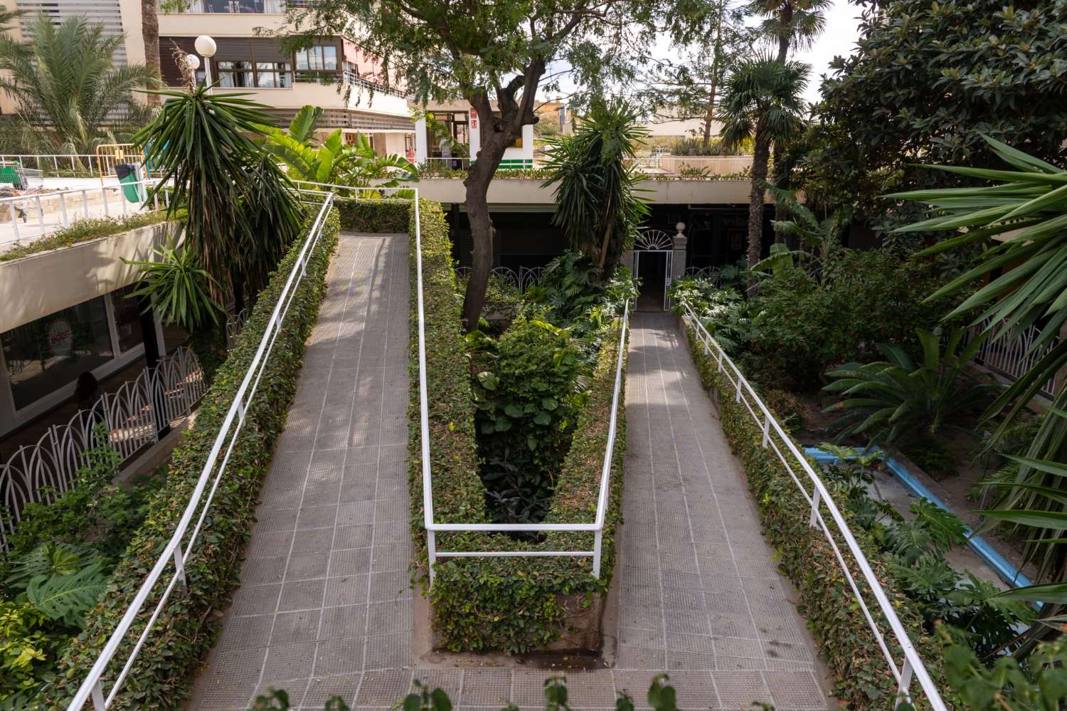 Se alquila desde ahora hasta 31/05/26 Y DESDE 01/09/2026 HASTA 30/06/2027 bonito estudio en Torremolinos