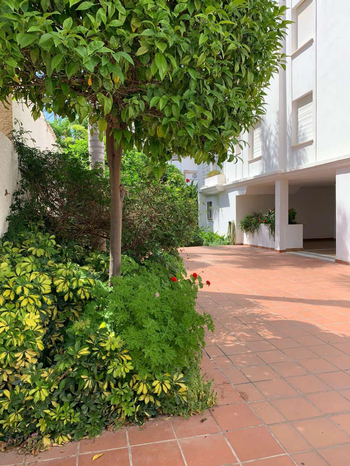 SE ALQUILA DESDE 1.04.27-30.6.27 BONITO APARTAMENTO EN 2ª LINEA DE PLAYA EN LA CARIHUELA (TORREMOLINOS)