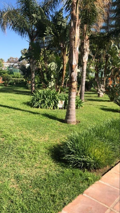 Se alquila desde 1/09/2026 - 30.6.27 precioso apartamento en Playamar (Torremolinos) .-