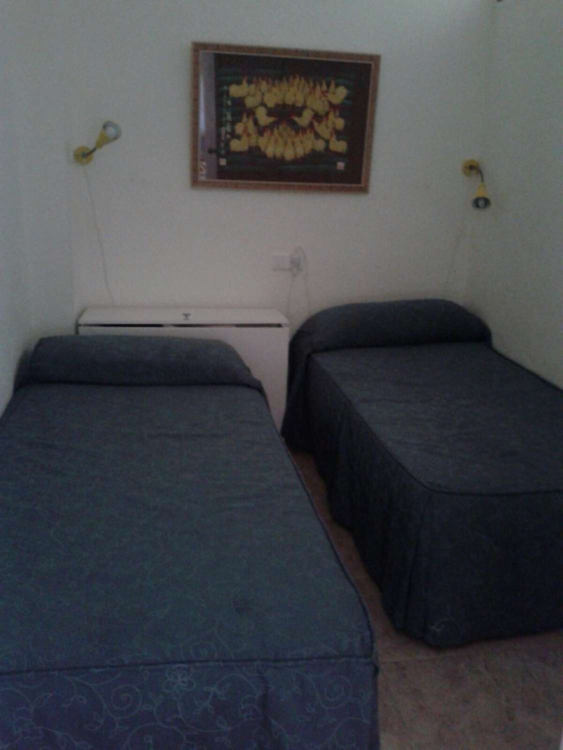 Se alquila desde ahora al 31/05/2026 y desde 01/09/2026 hasta 30/06/2027 bonito apartamento en el centro de La Carihuela (Torremolinos).-