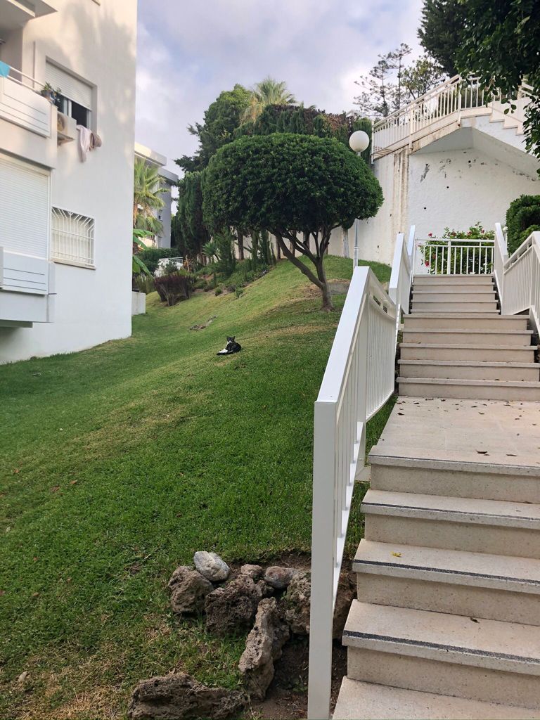 Se alquila desde 01/09/26 hasta 31/05/27 precioso apartamento en 1ª línea de playa con vistas al mar en La Carihuela (Torremolinos).