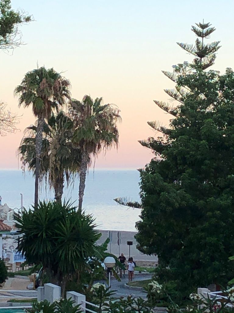 Se alquila desde 01/09/26 hasta 31/05/27 precioso apartamento en 1ª línea de playa con vistas al mar en La Carihuela (Torremolinos).