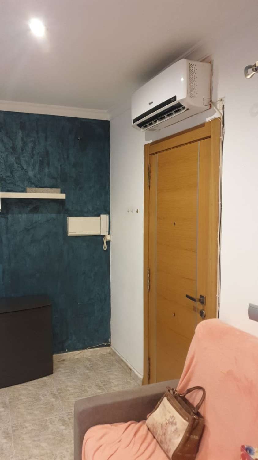 SE ALQUILA DESDE ahora -30.6.26 BONITO APARTAMENTO EN 1ª LINEA DE PLAYA EN LA CARIHUELA (TORREMOLINOS).