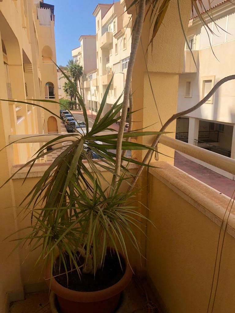 Se vende excelente apartamento en zona de Torrequebrada (Benalmádena).