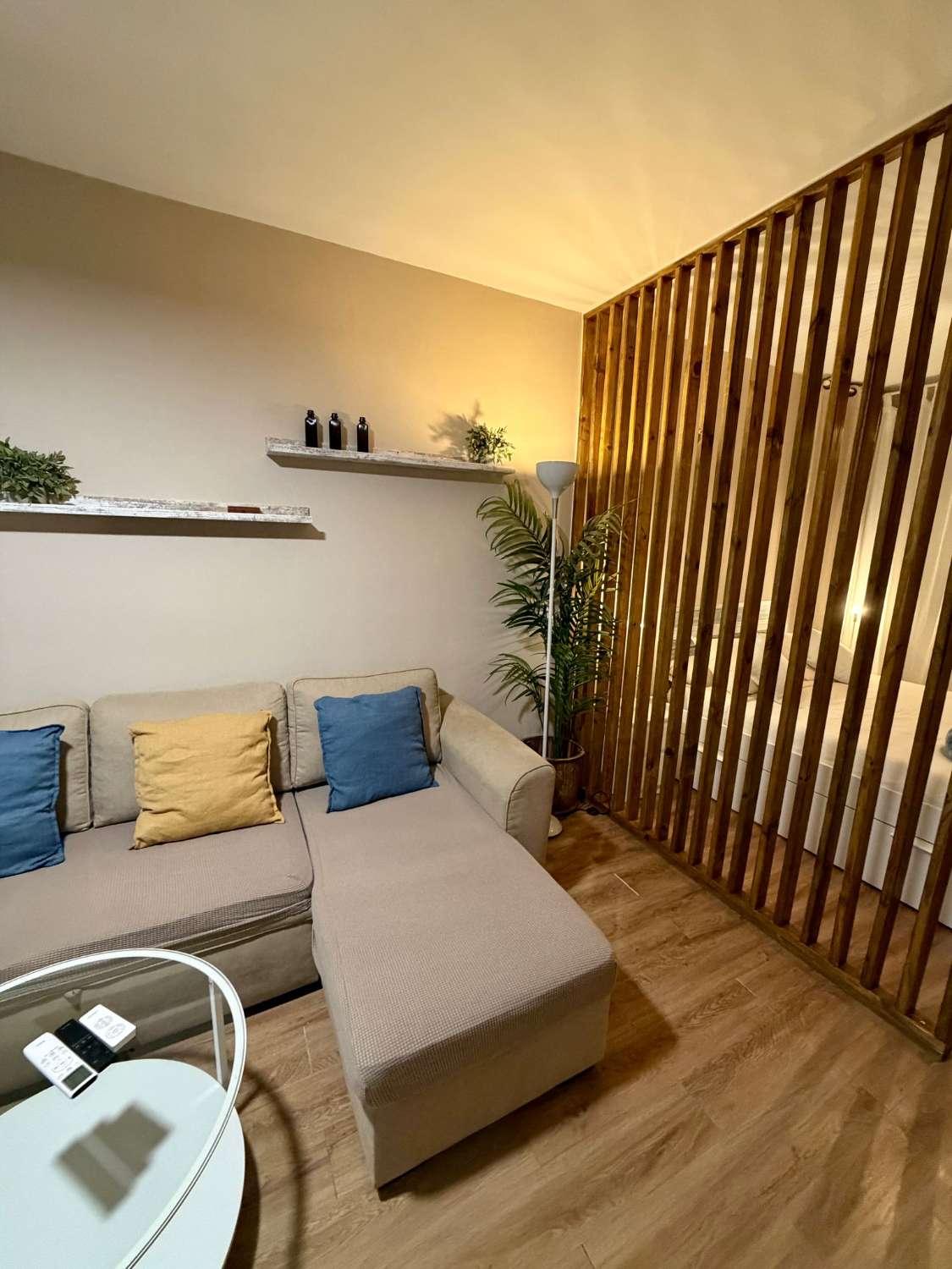 IT IS RENTED UNTIL 30/06/26 AND FROM 01/09/2026 TO 30/06/2027. SPACIOUS RENOVATED STUDIO IN THE CENTRE OF TORREMOLINOS