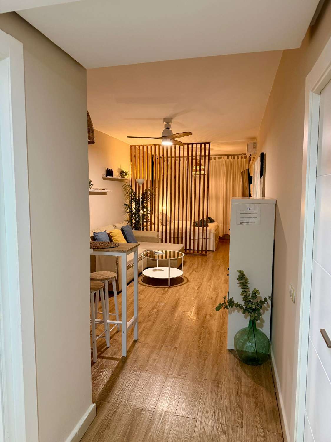 IT IS RENTED UNTIL 30/06/26 AND FROM 01/09/2026 TO 30/06/2027. SPACIOUS RENOVATED STUDIO IN THE CENTRE OF TORREMOLINOS