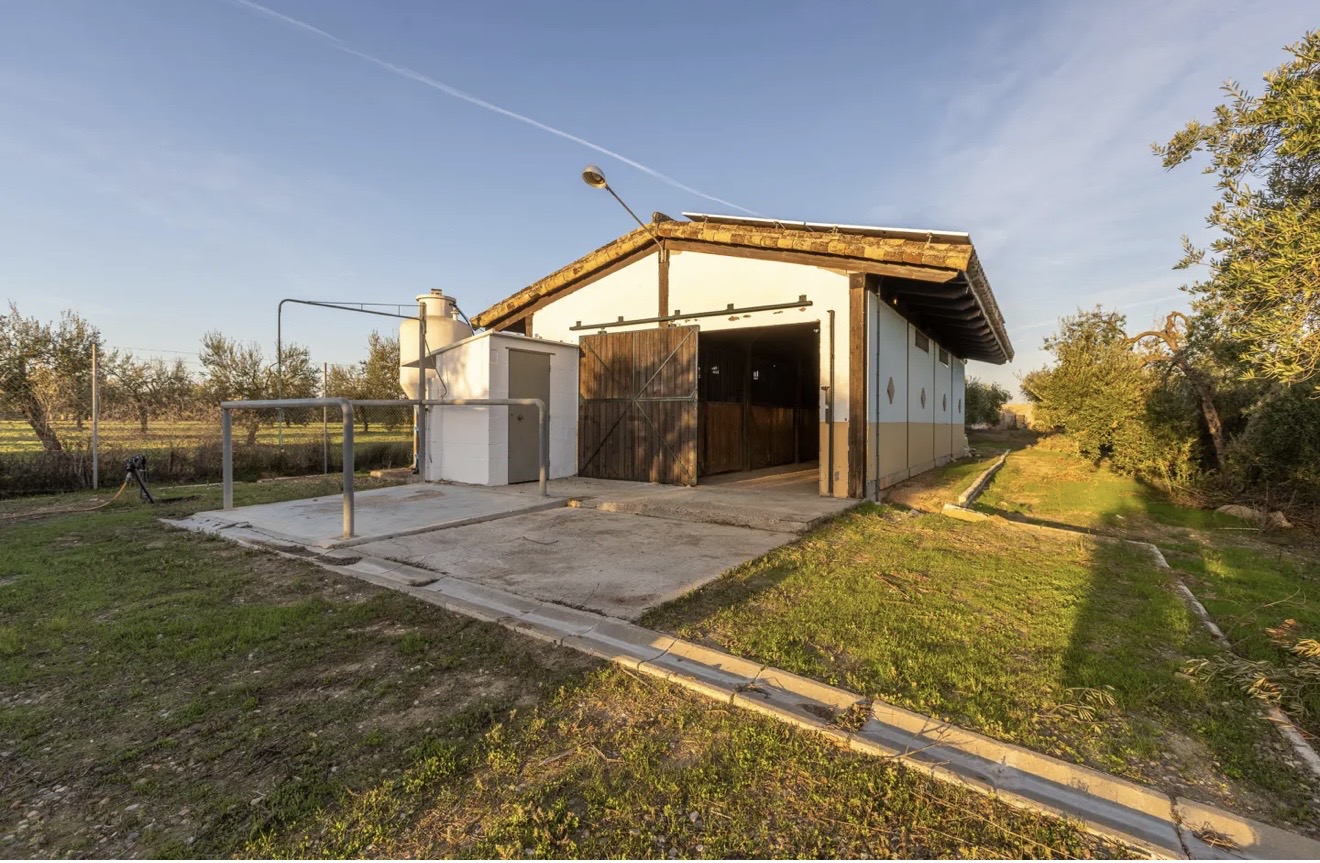 Country Property for rent in Sevilla