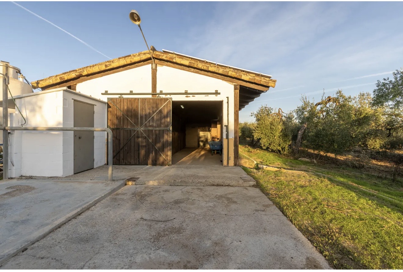 Country Property for rent in Sevilla