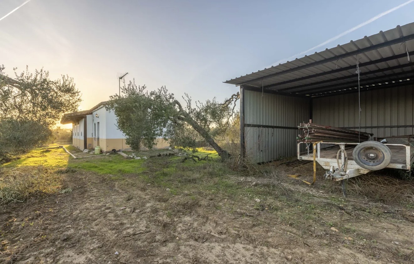 Country Property for rent in Sevilla