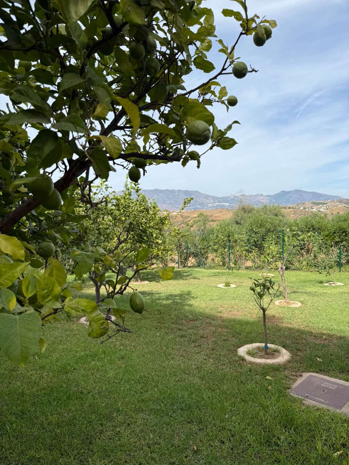 Appartment zum verkauf in Mijas