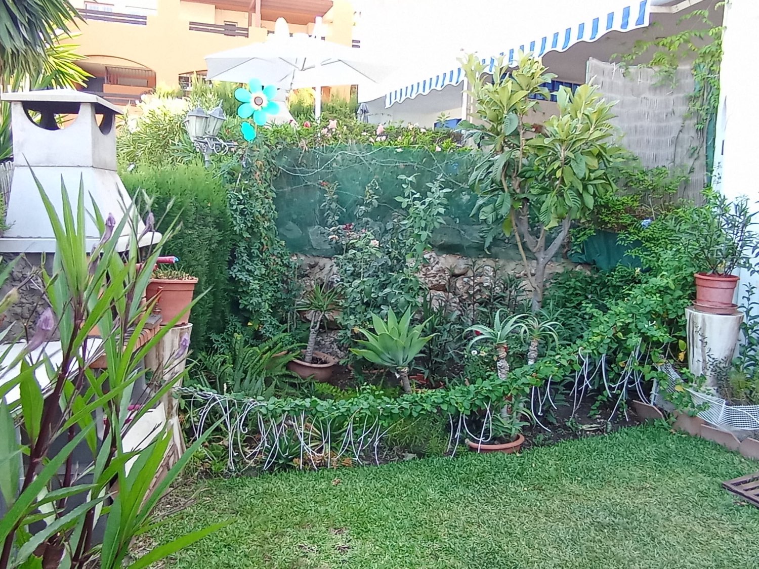 Appartment zum verkauf in Riviera del Sol (Mijas)