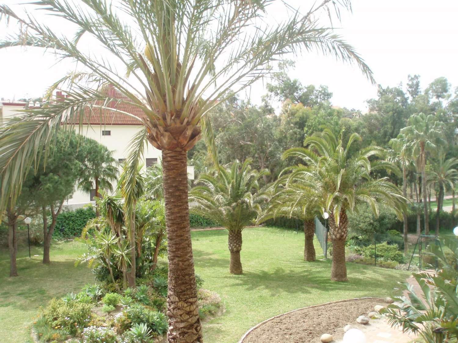 Appartement te huur in Cortijo Torrequebrada (Benalmádena)