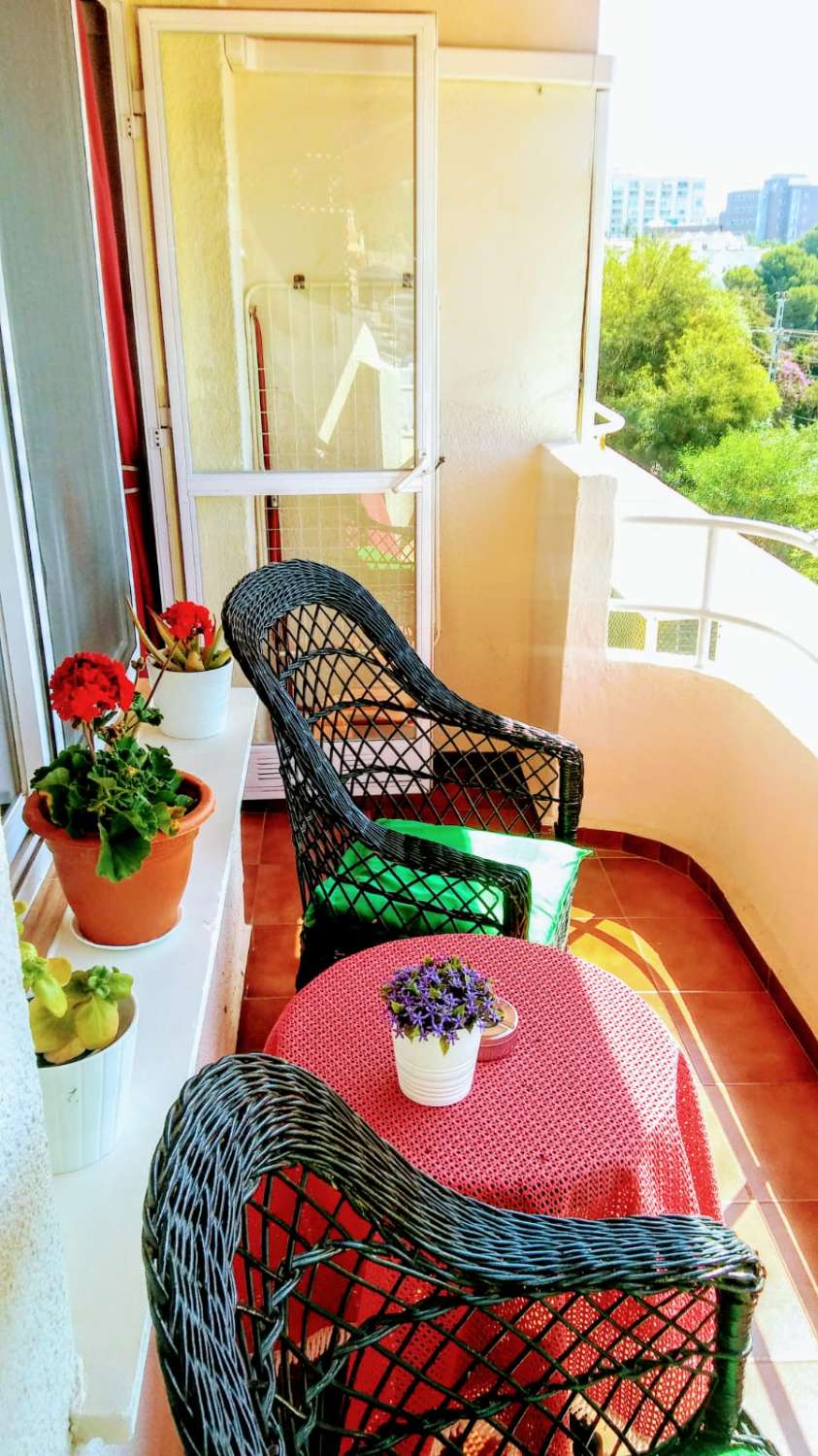 一室公寓 季节性 在 Centro (Torremolinos)