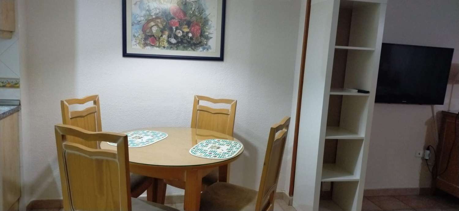 Studio stagionale a Parque de la Paloma (Benalmádena)