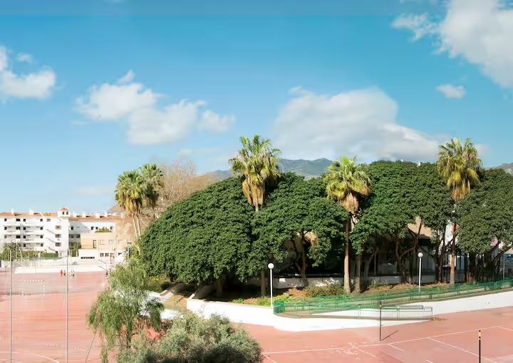 SE ALQUILA DESDE 1.3.27-31-5-27 MAGNIFICO  APARTAMENTO EN BENALMADENA