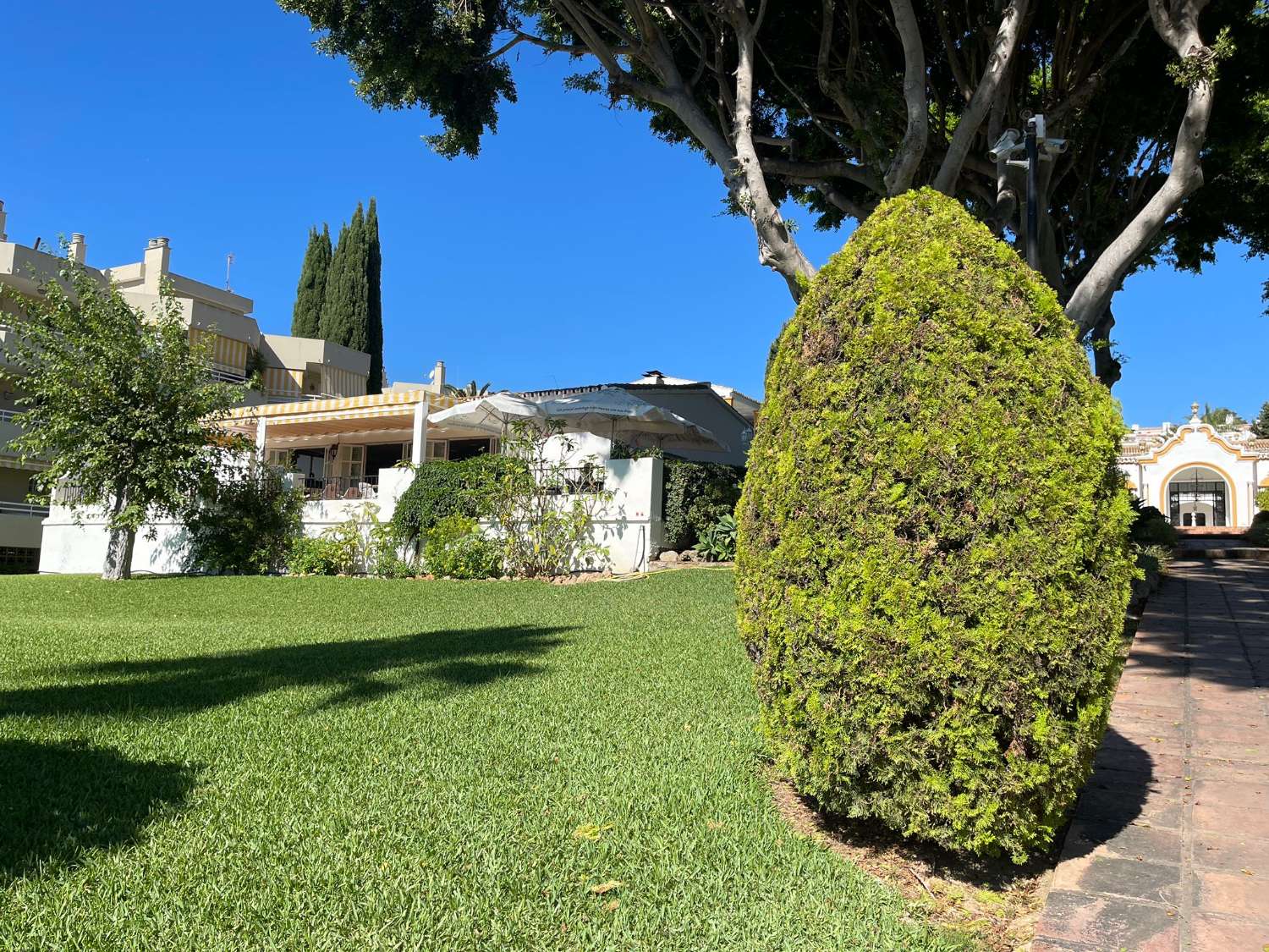 Media Temporada . Se alquila desde 1.9.26-31.5.27 bonito apartamento en Montemar cerca de la Carihuela ( Torremolinos )