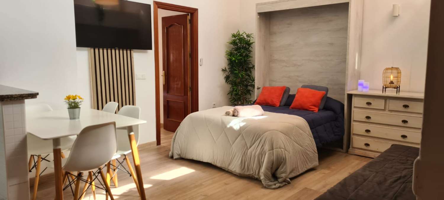Media Temporada  . Se alquila desde 1.10.26-30.6.27 bonito apartamento en Arroyo de la Miel (Benalmádena)