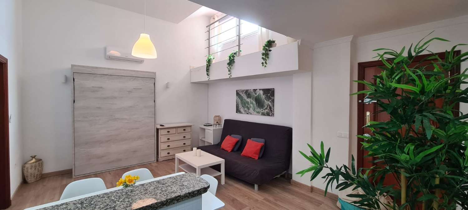 Media Temporada  . Se alquila desde 1.10.26-30.6.27 bonito apartamento en Arroyo de la Miel (Benalmádena)