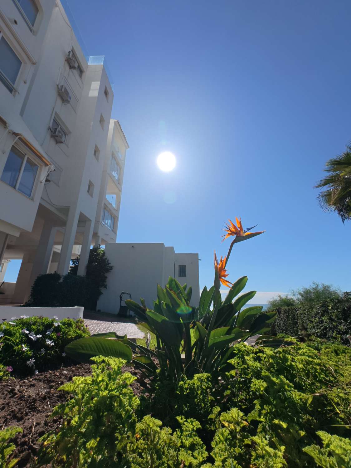 Se vende  magnifico apartamento en 1ª linea de playa en zona Riviera del Sol (Mijas )