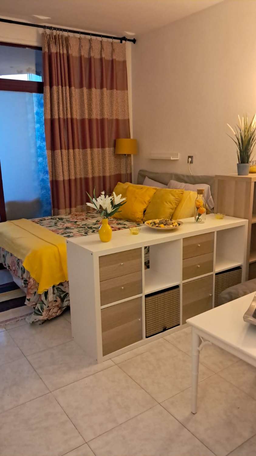 Media Temporada . Se alquila desde 15.9.26-15.6.27 amplio estudio con vistas al mar en 1ªlinea de Playa en Fuengirola