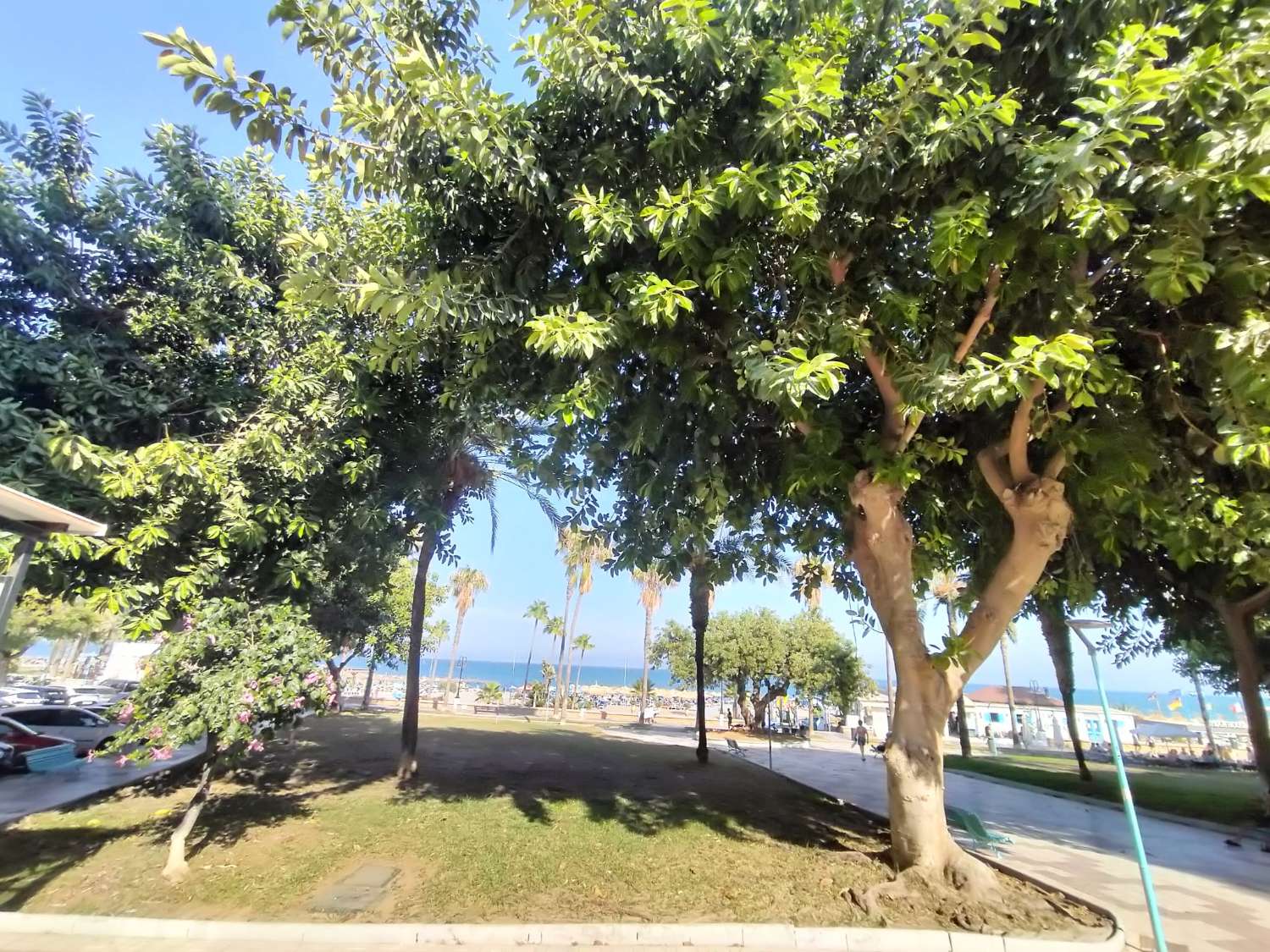 Se vende magnifico apartamento en  1ª línea de playa con vistas al mar de la Carihuela (Torremolinos)