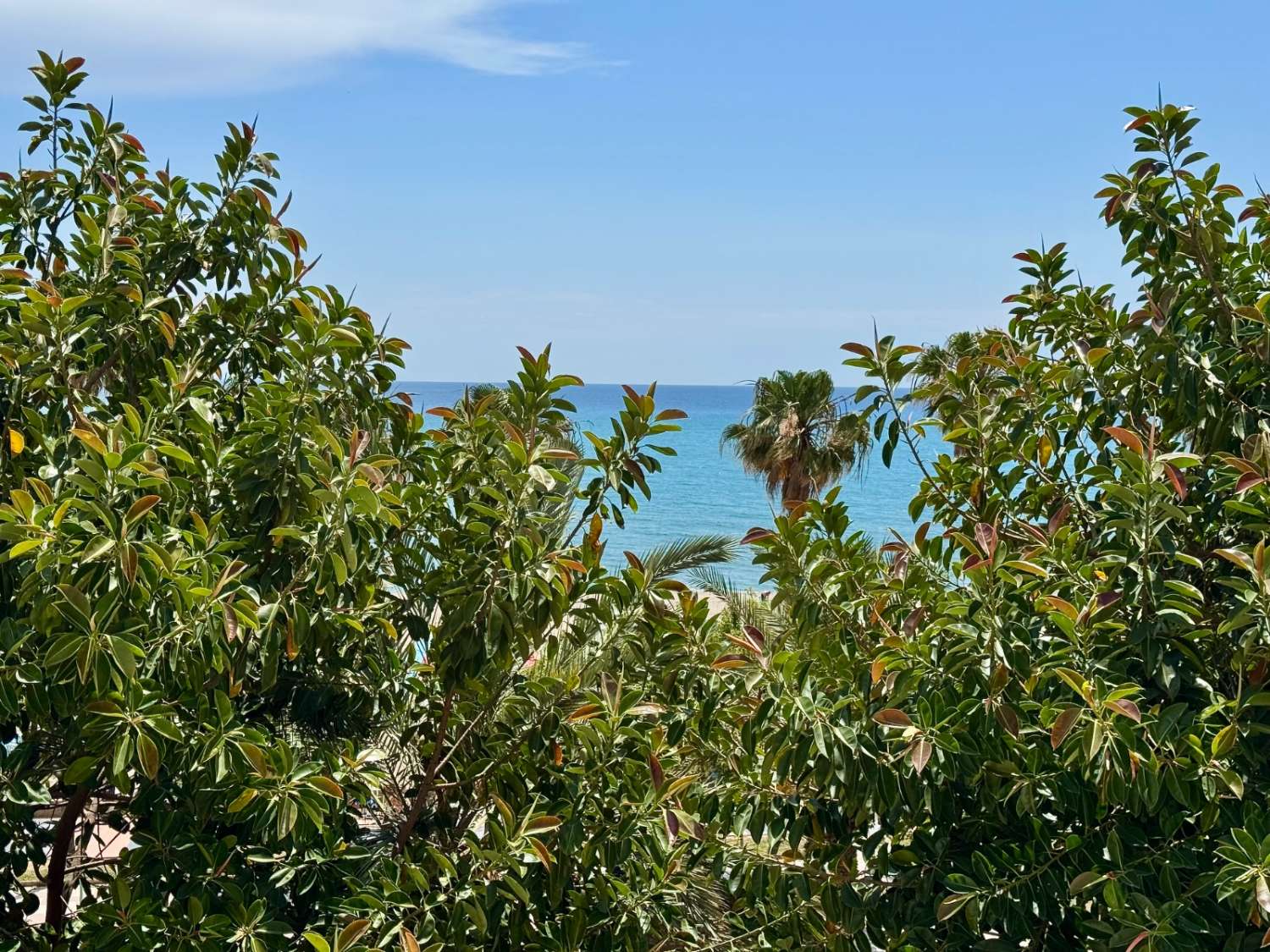 Se vende magnifico apartamento en  1ª línea de playa con vistas al mar de la Carihuela (Torremolinos)