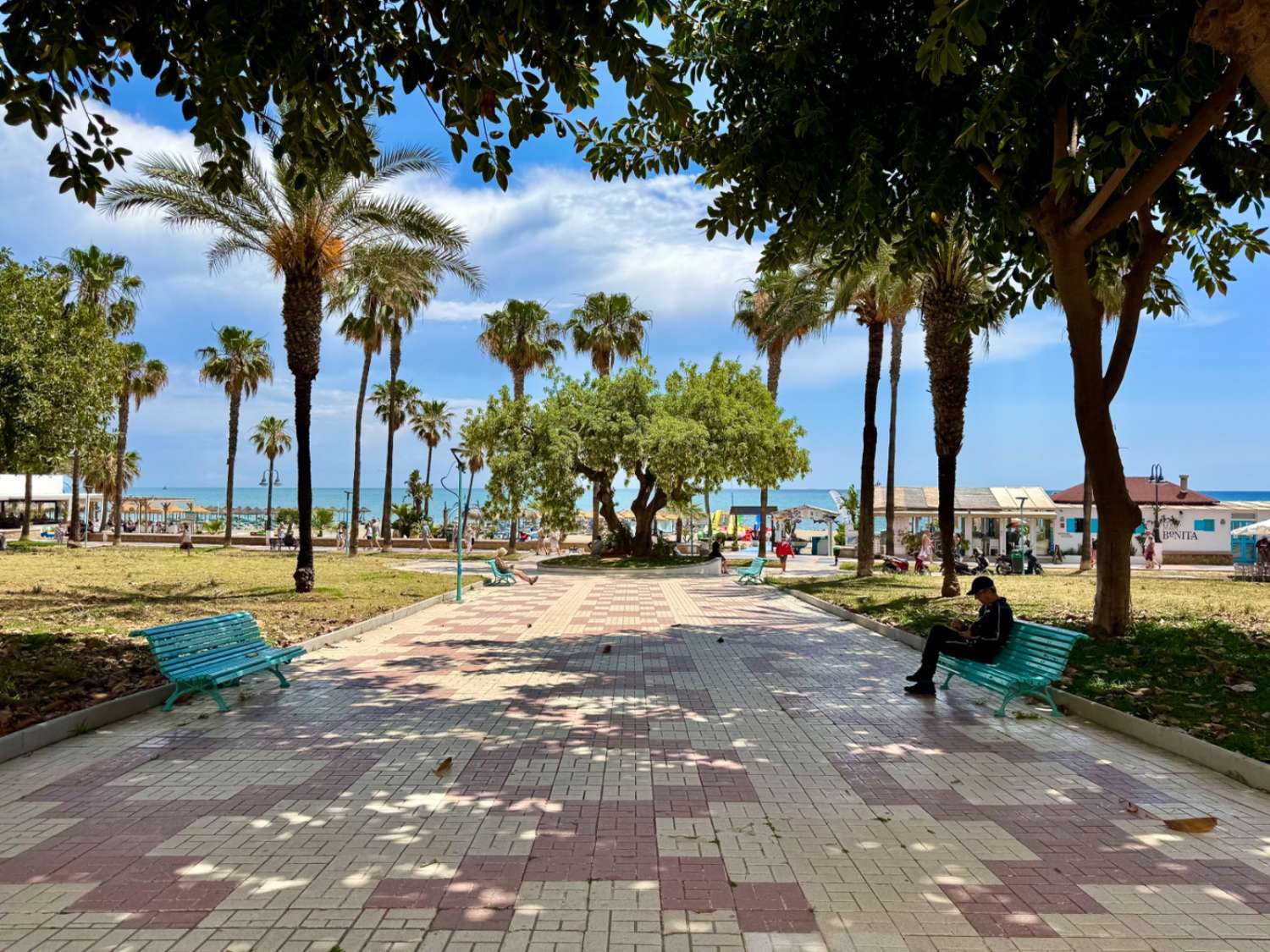Se vende magnifico apartamento en  1ª línea de playa con vistas al mar de la Carihuela (Torremolinos)