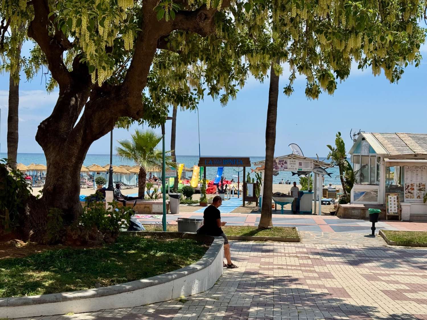 Se vende magnifico apartamento en  1ª línea de playa con vistas al mar de la Carihuela (Torremolinos)