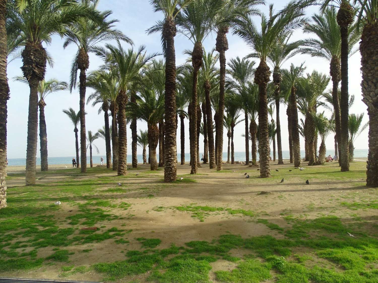 Studio myynnissä turistiluvalla, merinäköala La Carihuelassa (Torremolinos)