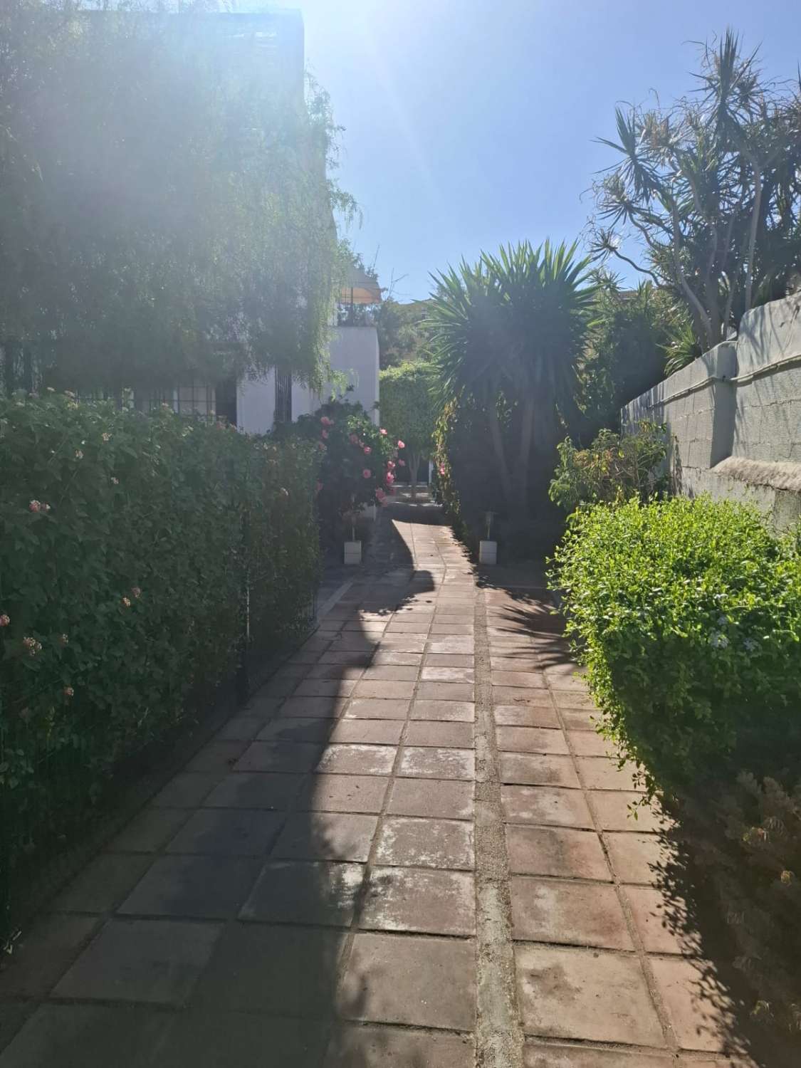 Midt i sesongen.  Til leie fra 1.9.26-30.6.27 Fin tomannsbolig i Montemar-området (Torremolinos)