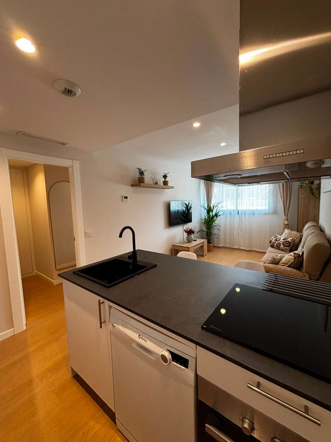Media Temporada . Se alquila desde 1.2.27  hasta  11 meses bonito apartamento en zona Las Lagunas  (Mijas)