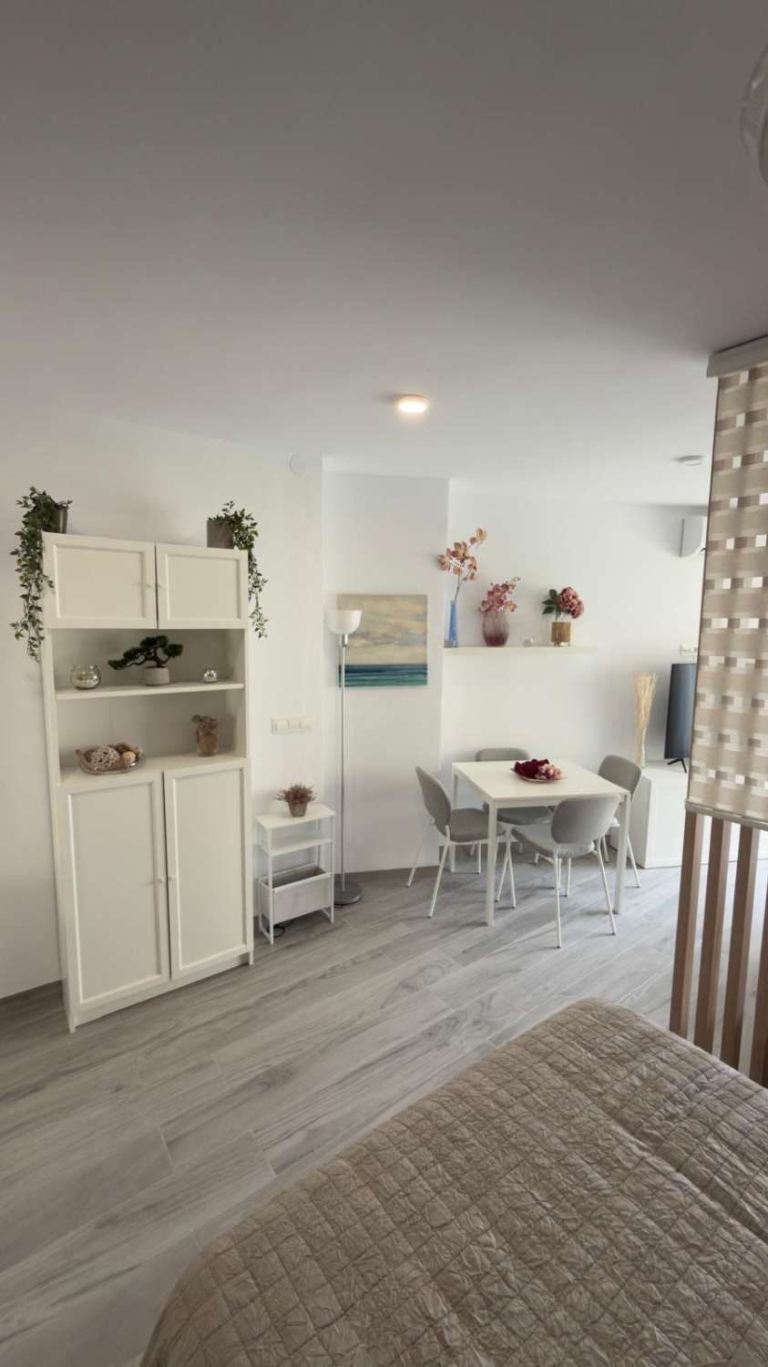 Media Temporada .Se alquila desde  1.10.26- 31.5. 27 bonito  Estudio en Benalmadena Costa con vistas al mar