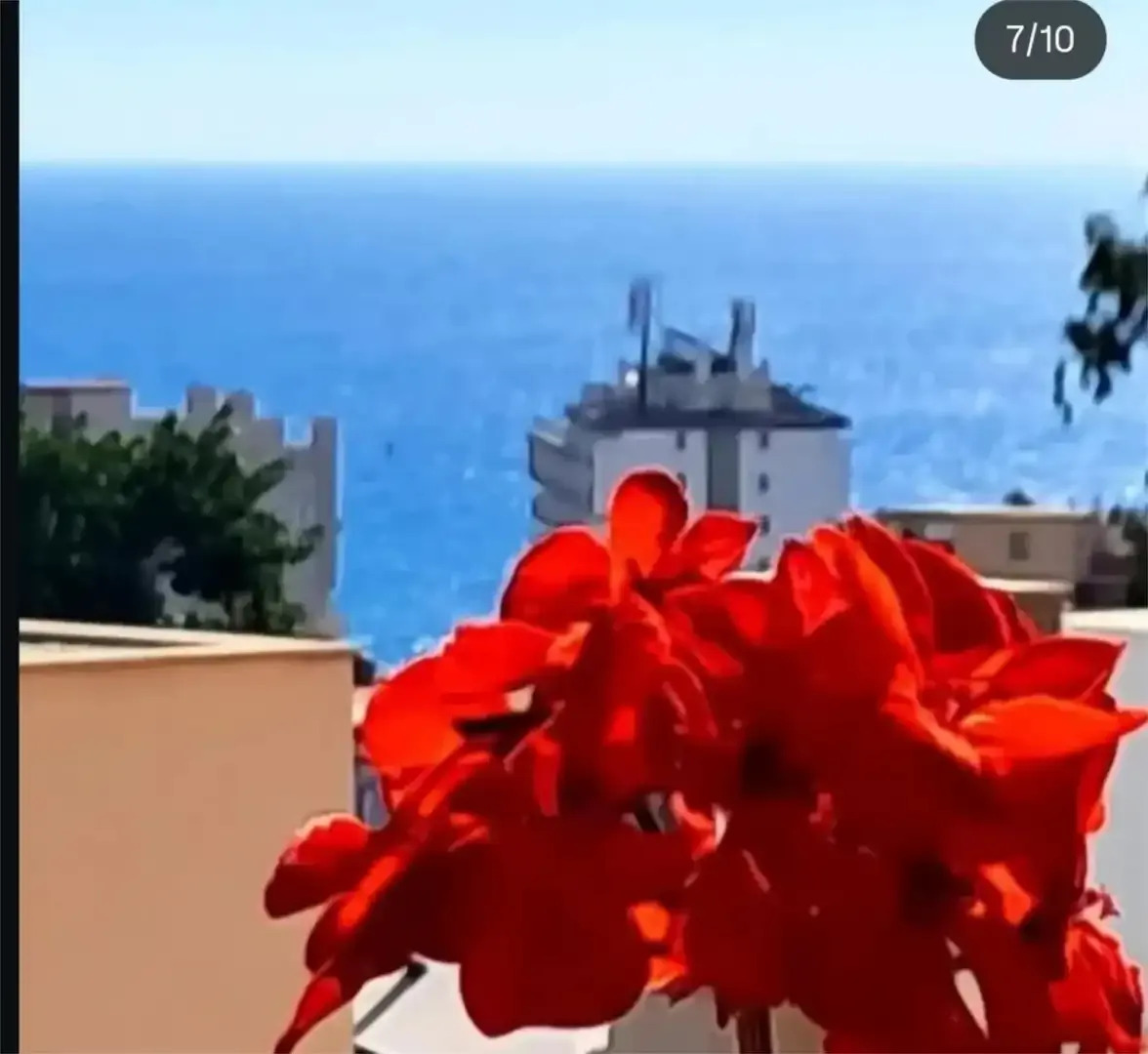 Tilava yhden makuuhuoneen asunto myynnissä merinäköala El Pinillon alueella (Torremolinos)