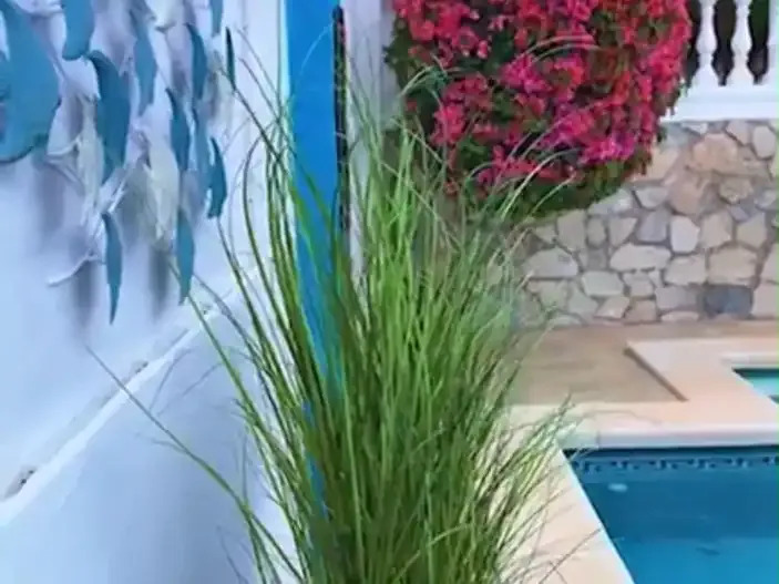 Lyxvilla med havsutsikt och ett sammanlagt boutique-B&B-företag till salu i Benalmadena (Costa del Sol).