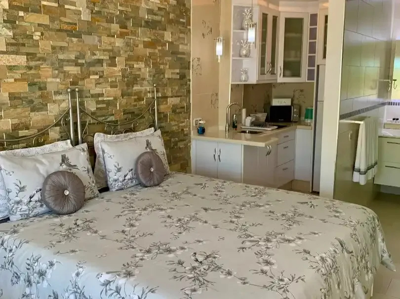 Lyxvilla med havsutsikt och ett sammanlagt boutique-B&B-företag till salu i Benalmadena (Costa del Sol).